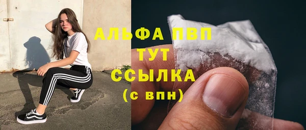 соль ск Няндома