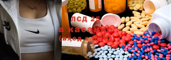 ПСИЛОЦИБИНОВЫЕ ГРИБЫ Алексеевка