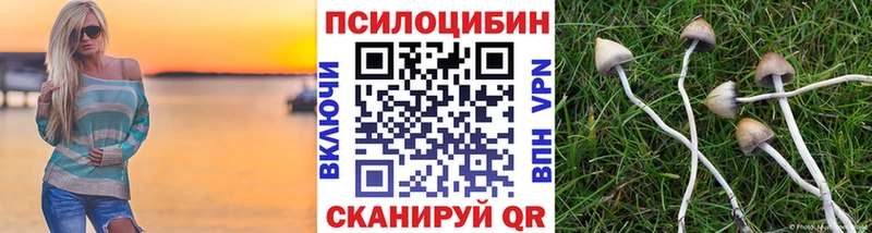 Галлюциногенные грибы Cubensis  дарнет шоп  Феодосия 