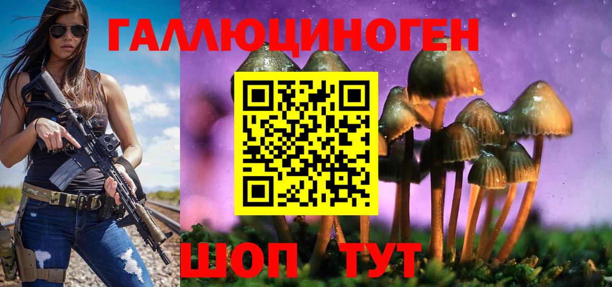 Феодосия  Псилоцибиновые грибы MAGIC MUSHROOMS  Вход с VPN 